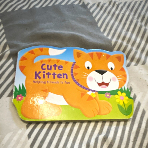 Igloo books cute kitten - igloo,