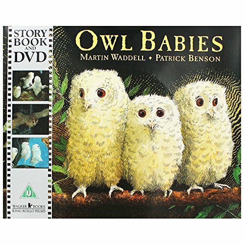 Owl babies martin waddell - owl, babies-martin