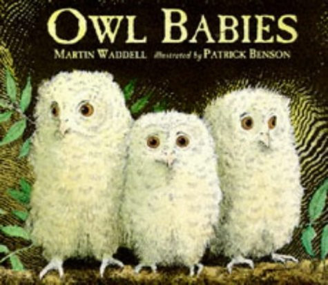 Owl babies waddell - owl,